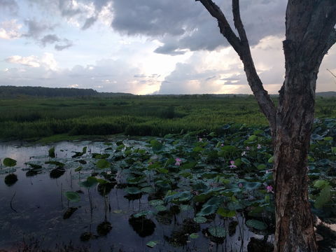Fogg Dam Conservation Reserve - Nambucca Heads Accommodation 0