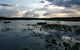 Fogg Dam Conservation Reserve - thumb 1