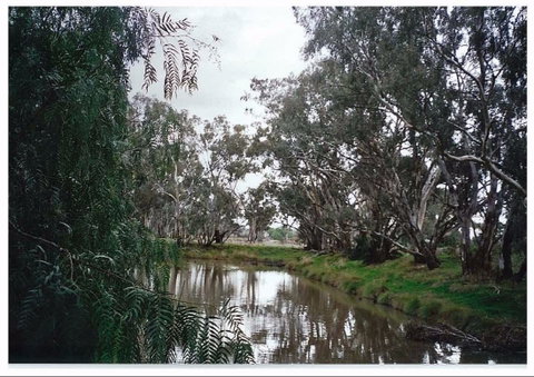 Henty Government Dam Nature Reserve - Nambucca Heads Accommodation 0