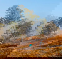 Kambah Pool to Pine Island Walking Trail - Nambucca Heads Accommodation