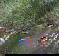 Kerewong State Forest - Nambucca Heads Accommodation
