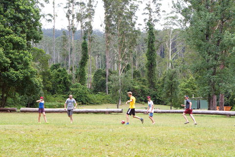 Kerewong State Forest - Nambucca Heads Accommodation 1