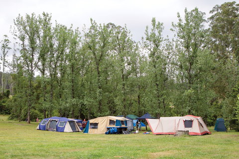 Kerewong State Forest - Nambucca Heads Accommodation 2