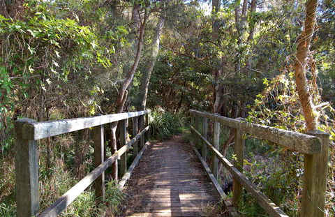 Lake Macquarie State Conservation Area - Nambucca Heads Accommodation 1