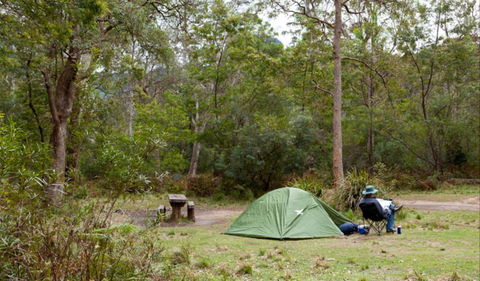 Long Gully Picnic Area - Nambucca Heads Accommodation 0