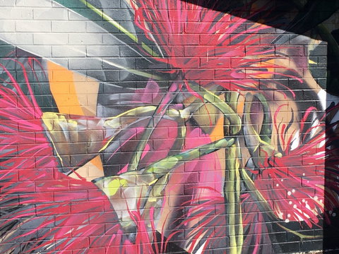 Mokoan Rest Stop Northbound - Nambucca Heads Accommodation 0