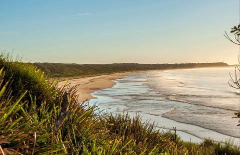 Narrawallee Creek Nature Reserve - Nambucca Heads Accommodation 0