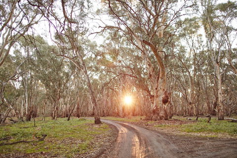 Nyah Vinifera Park - Nambucca Heads Accommodation 1