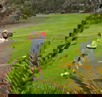 Pambula Merimbula Golf Club - Nambucca Heads Accommodation