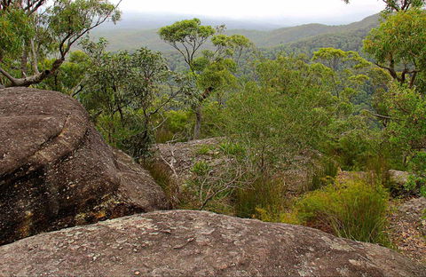 Pigeon House Mountain Didthul Walking Track - Nambucca Heads Accommodation 0