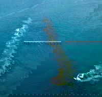 Port Noarlunga Reef Sanctuary Zone - Encounter Marine Park - Nambucca Heads Accommodation