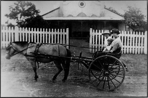 Quondong Cottage - Nambucca Heads Accommodation 1