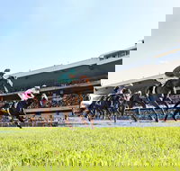 Rosehill Gardens Racecourse - Nambucca Heads Accommodation