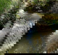 Second Ponds Creek Walk - Nambucca Heads Accommodation