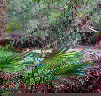 Sugar Creek Picnic Area - Nambucca Heads Accommodation