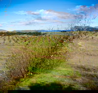Tarago Truffles - Nambucca Heads Accommodation