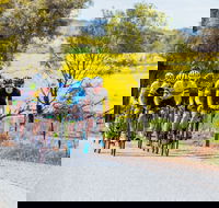 The Heron's Highway - Avon River Cycle Trail - Nambucca Heads Accommodation