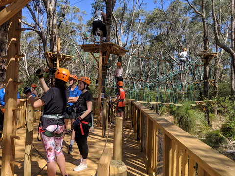 Trees Adventure - Yanchep Park - Nambucca Heads Accommodation 0