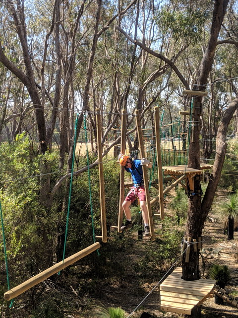 Trees Adventure - Yanchep Park - Nambucca Heads Accommodation 1