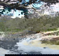 Walyunga National Park - Nambucca Heads Accommodation