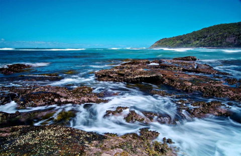 Wyrrabalong National Park - Nambucca Heads Accommodation 0
