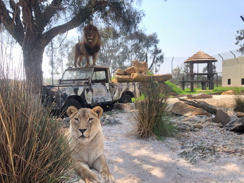 Zambi Wildlife Retreat - Nambucca Heads Accommodation 0