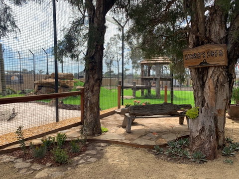 Zambi Wildlife Retreat - Nambucca Heads Accommodation 1