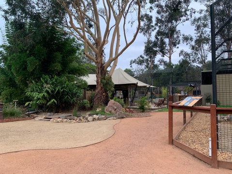 Zambi Wildlife Retreat - Nambucca Heads Accommodation 2
