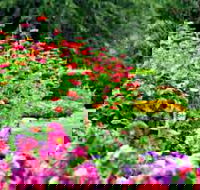 Alma Park - Nambucca Heads Accommodation