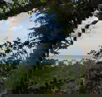 Channel Point Coastal Reserve - Nambucca Heads Accommodation