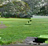 Cottonwood Glen Picnic Area - Nambucca Heads Accommodation