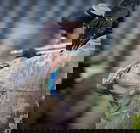 Delta Force Paintball - Nambucca Heads Accommodation