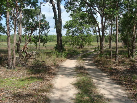 Djukbinj National Park - Nambucca Heads Accommodation 0