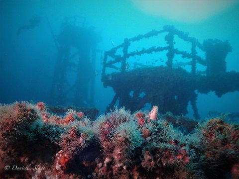 Ex HMAS Adelaide - Nambucca Heads Accommodation 0