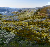Gold Coast Hinterland Great Walk - Nambucca Heads Accommodation