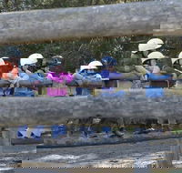 Harlow Park Horse Riding - Nambucca Heads Accommodation