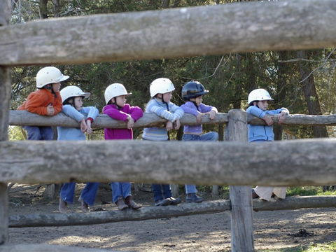 Harlow Park Horse Riding - Nambucca Heads Accommodation 0