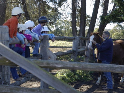 Harlow Park Horse Riding - Nambucca Heads Accommodation 2