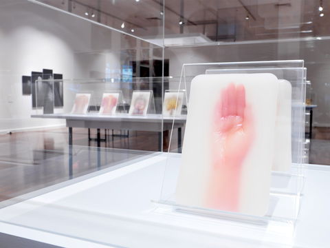 JamFactory - Nambucca Heads Accommodation 2