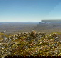 Jerrawangala National Park - Nambucca Heads Accommodation