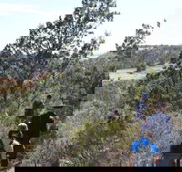 Kinchina Conservation Park - Nambucca Heads Accommodation