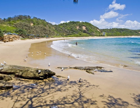 Nambucca Heads Beaches - Nambucca Heads Accommodation 0