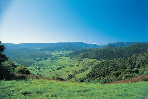 Numinbah Section, Springbrook National Park - Nambucca Heads Accommodation 0