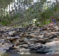 Rocksberg Park Heritage Reserve - Nambucca Heads Accommodation