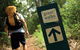 Sunshine Coast Hinterland Great Walk - thumb 0