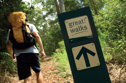 Sunshine Coast Hinterland Great Walk - Nambucca Heads Accommodation 0