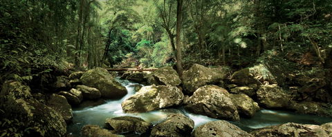 Sunshine Coast Hinterland Great Walk - Nambucca Heads Accommodation 1
