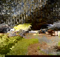 The Pines Picnic Area - Nambucca Heads Accommodation