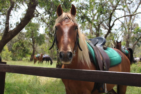 The Ranch - Nambucca Heads Accommodation 2