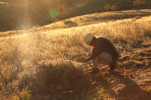 Tnorala (Gosse Bluff) Conservation Reserve - Nambucca Heads Accommodation 1
